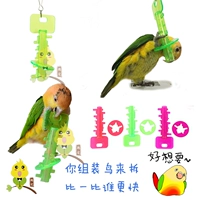 Parrot câu đố đào tạo phát triển trí tuệ tương tác đồ chơi thú cưng chim vẹt cắn tháo dỡ đồ chơi phá hủy - Chim & Chăm sóc chim Supplies lồng chim khướu