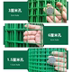 Barbed wire fence chicken breeding net Dutch net household vegetable garden orchard fence guardrail steel wire protective net outdoor