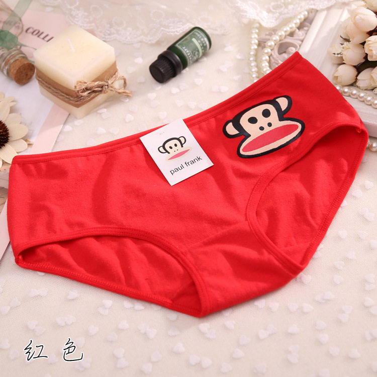 Slip jeunesse en coton - Ref 646497 Image 20