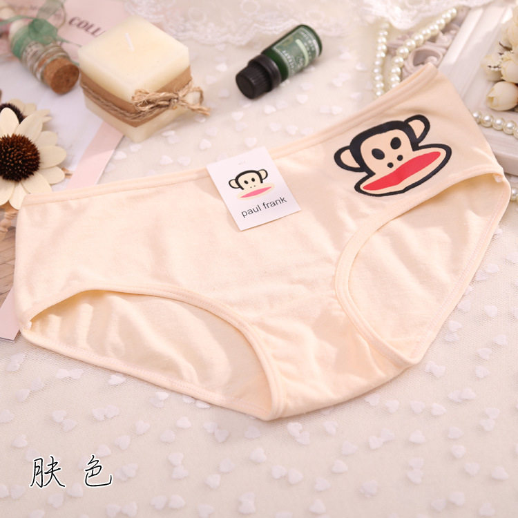 Slip jeunesse en coton - Ref 646497 Image 15