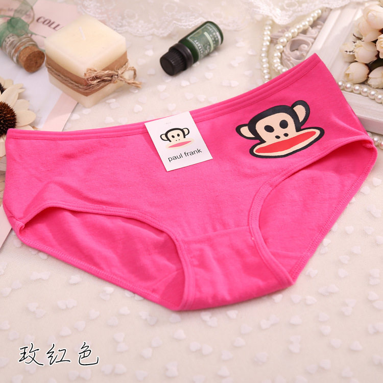 Slip jeunesse en coton - Ref 646497 Image 18