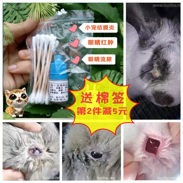 Rabbit Eye Drops Rabbit Eyes Red Oncology Dragon Cat Eyes Flutpus Rat Conjunctivitis Cat Dog Keratoconjunctivitis Eye Drops