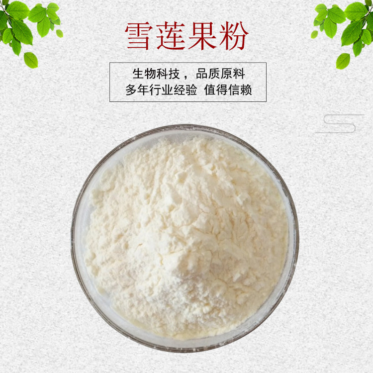 雪莲果粉99% 雪莲果提取物 量大从优 资质齐全 现货包邮