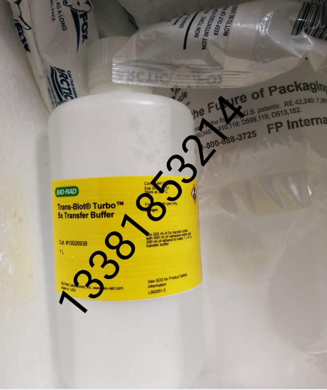 Bio-Rad伯乐10026938转膜液5xTransfer Buffer 1000ml
