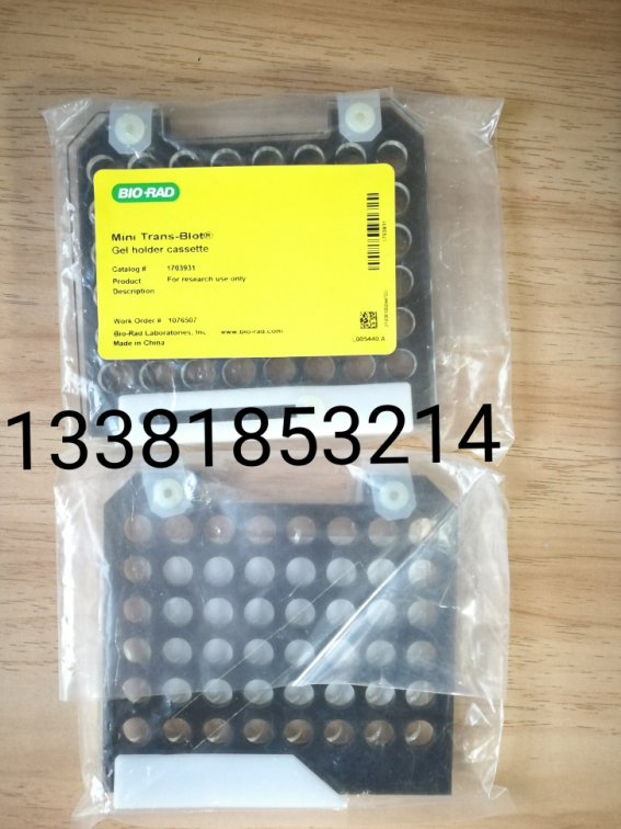 Bio-Rad Burle 170-3931 Gel Holder 1703931