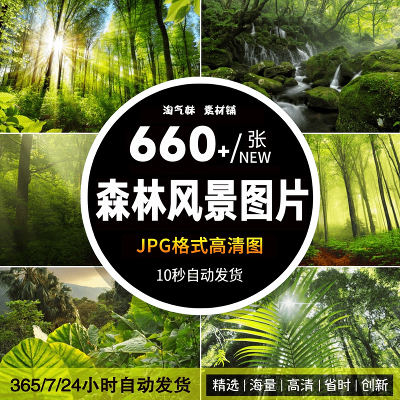 High-Definition Jpg Forest Beauty Images, Original Tropical Rainforest Shrubs, Jungle Trees, Natural Scenery Photography Materials