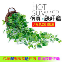 Simulation plant fake flower Vine Vine green plant orchid interior decoration plastic green long Vine hanging wall hanging