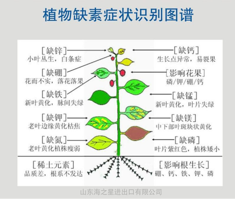 描述23
