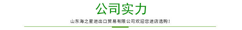 公司实力
