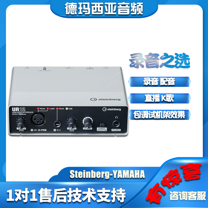 Steinberg YAMAHA Mountain Leaf Sound Card UR12 Professional Live K Song choreographic soundtrack recording device