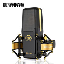 ISK iKG2000 ISKIKG2000 large diaphragm condenser microphone live recording microphone