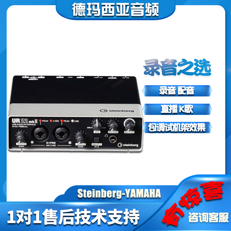YAMAHA mountain leaf sound card UR22MKII Professional for choreographic live K song dubbing musical instrument recording equipment