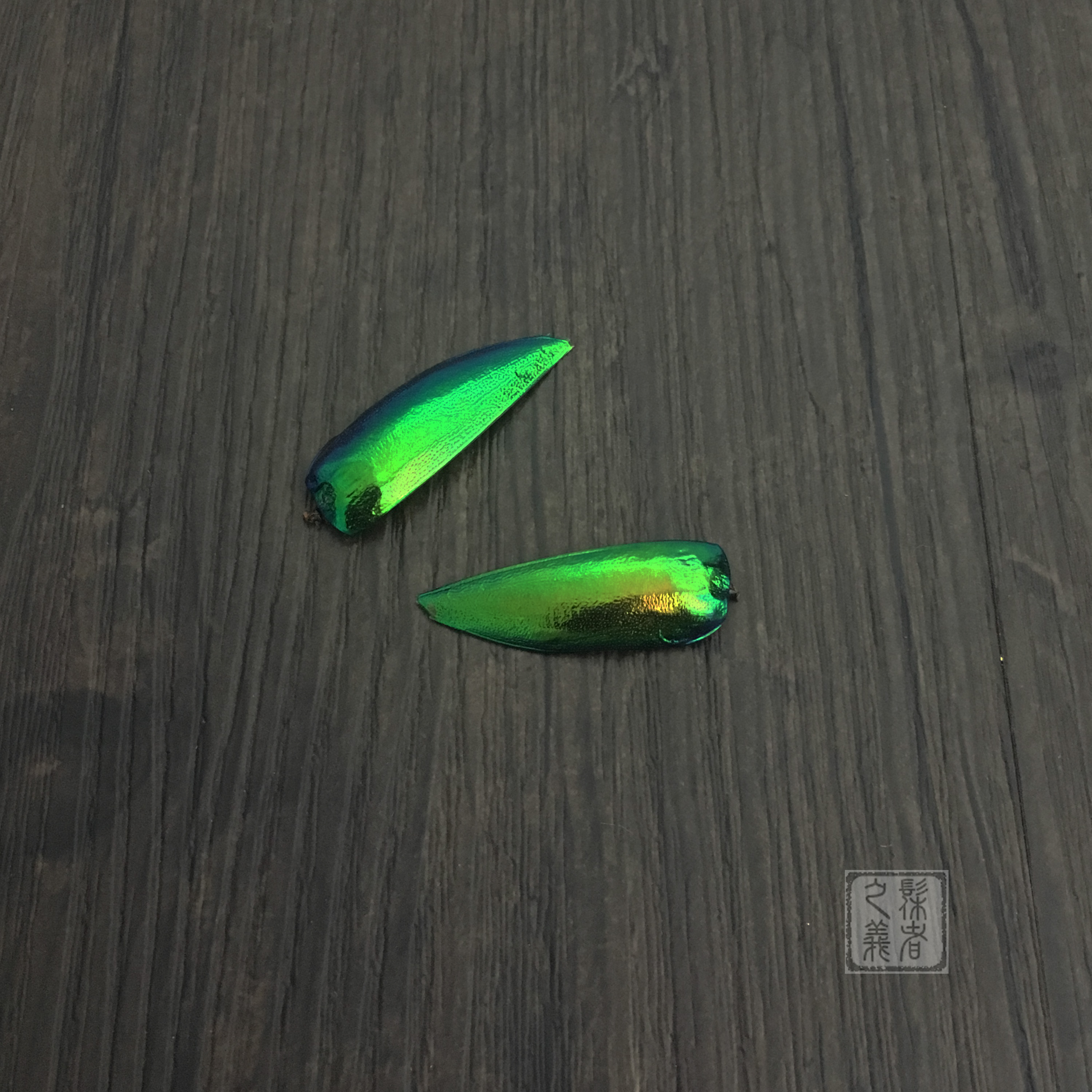 Japanese jade worm wings for inlay decoration with good gloss lacquer art lacquer painting material