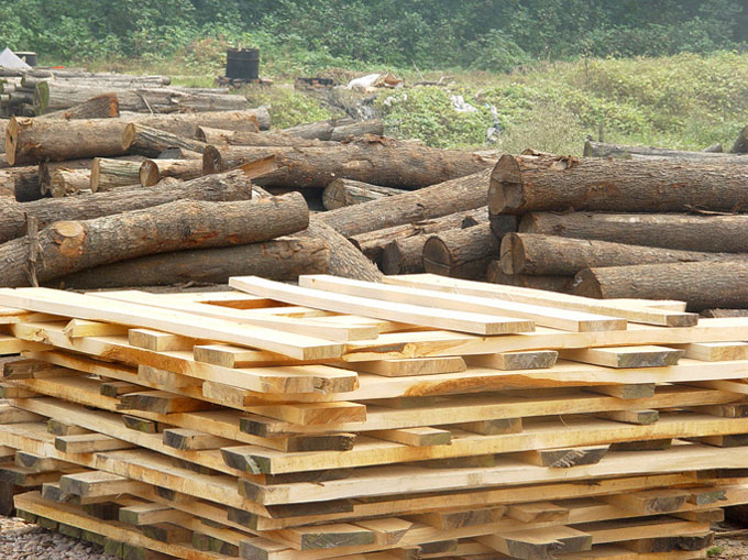 Tấm gỗ hình chữ nhật màu đen Gỗ rỗng hoa anh đào Tấm trà Bộ tách trà chén dao kéo khay gỗ - Tấm khay gỗ đựng đồ ăn