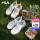 Официальная женская обувь FILA, парусиновая обувь, новинка 2025 года, летняя обувь, мужская спортивная обувь, кроссовки, повседневная обувь mini 0