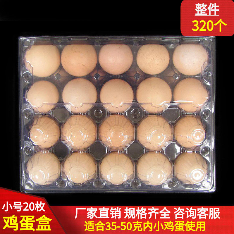 Small 20 pieces of native egg packaging box newborn egg tray plastic transparent disposable gift box inside the tray