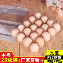 Medium 20 egg holder disposable plastic egg packaging box transparent egg gift box shockproof factory outlet
