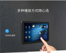 HOPE yearns for H8 smart audio host whole house background music system WIFI audio controller new product