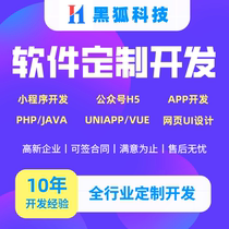 小程序开发定制PHP编程UNIAPP代码开发VUE问题解决H5网页UI设计