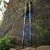 CAMEL lạc đà ngoài trời trekking cực - Gậy / gậy gậy chống 4 chân Gậy / gậy