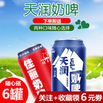 (6 cans) Xinjiang Tianrun Jiali Milk Beer contains lactic acid bacteria milk carbonated beverage 300ml