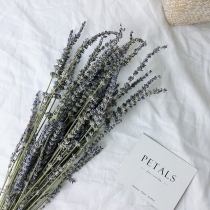 Lavender dried flower bouquet Home decoration Living room decoration DIY flower arrangement Natural real flowers calm the mind and help sleep Small fresh