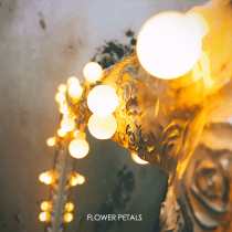 LED round ball star light string romantic lantern Net red ins Girl heart bedroom decoration starry Christmas