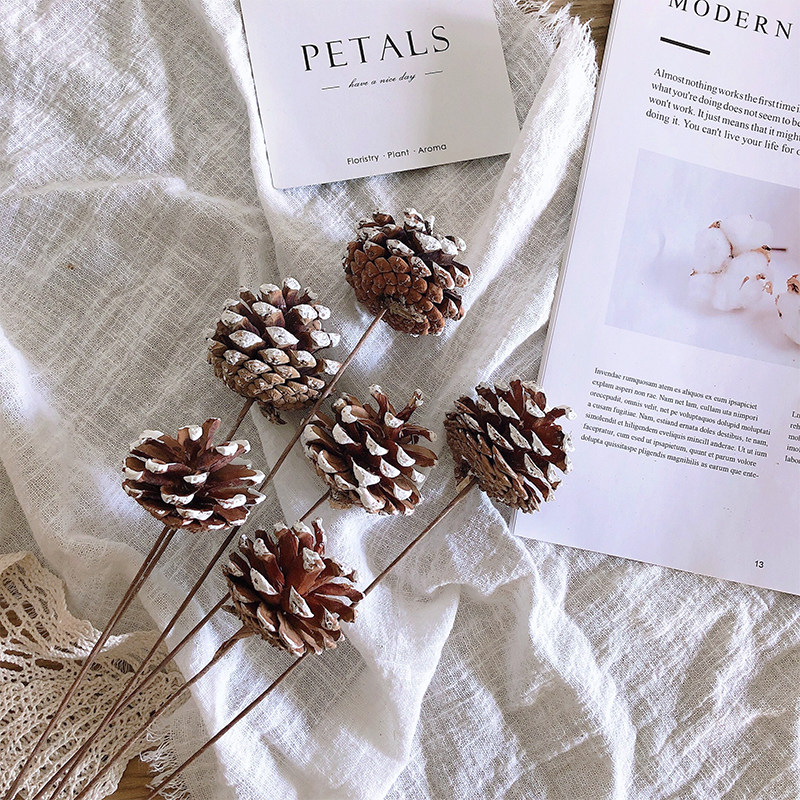 Natural cedar fruit dried flower decoration Handmade diy flower material with rod flower arrangement Real flower bed and breakfast shooting props