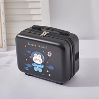 Черный (аэрокосмический кролик))