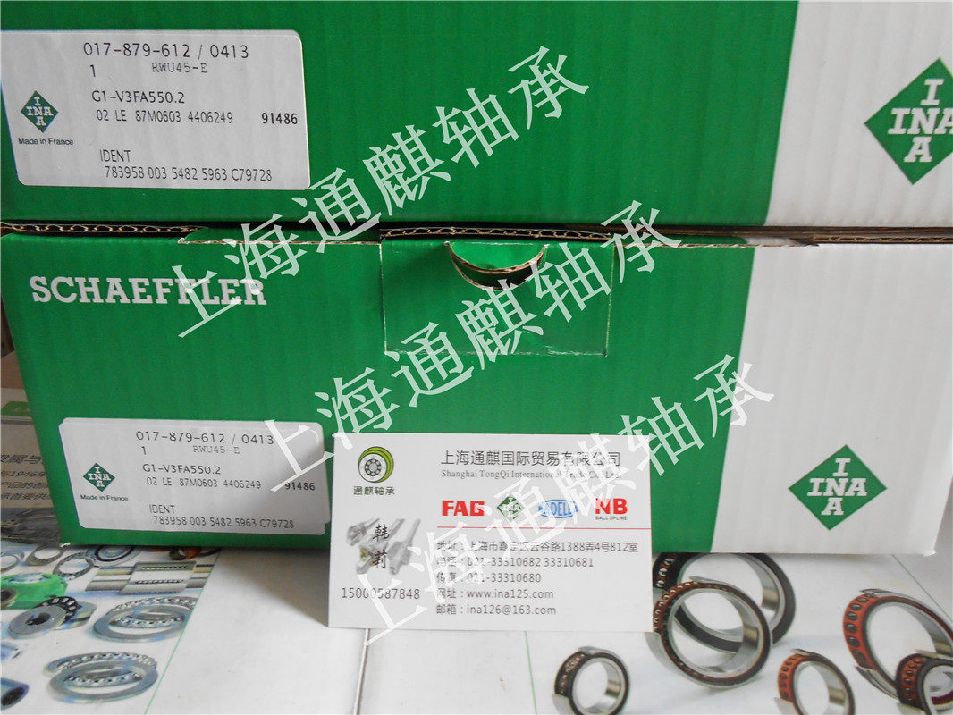 INA roller type slider guide rail RWU45-E-G1-V3 FA550 2 RWU45EG1V3