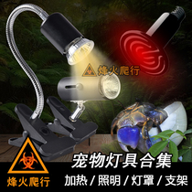 Pet lamp collection hermit crab heating bulb Turtle night light uva Sun ceramic lampshade hair color water grass lamp holder