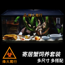 Hermit crab feeding package novice breeding with land hermit crab feeding equipment theme landscape cylinder