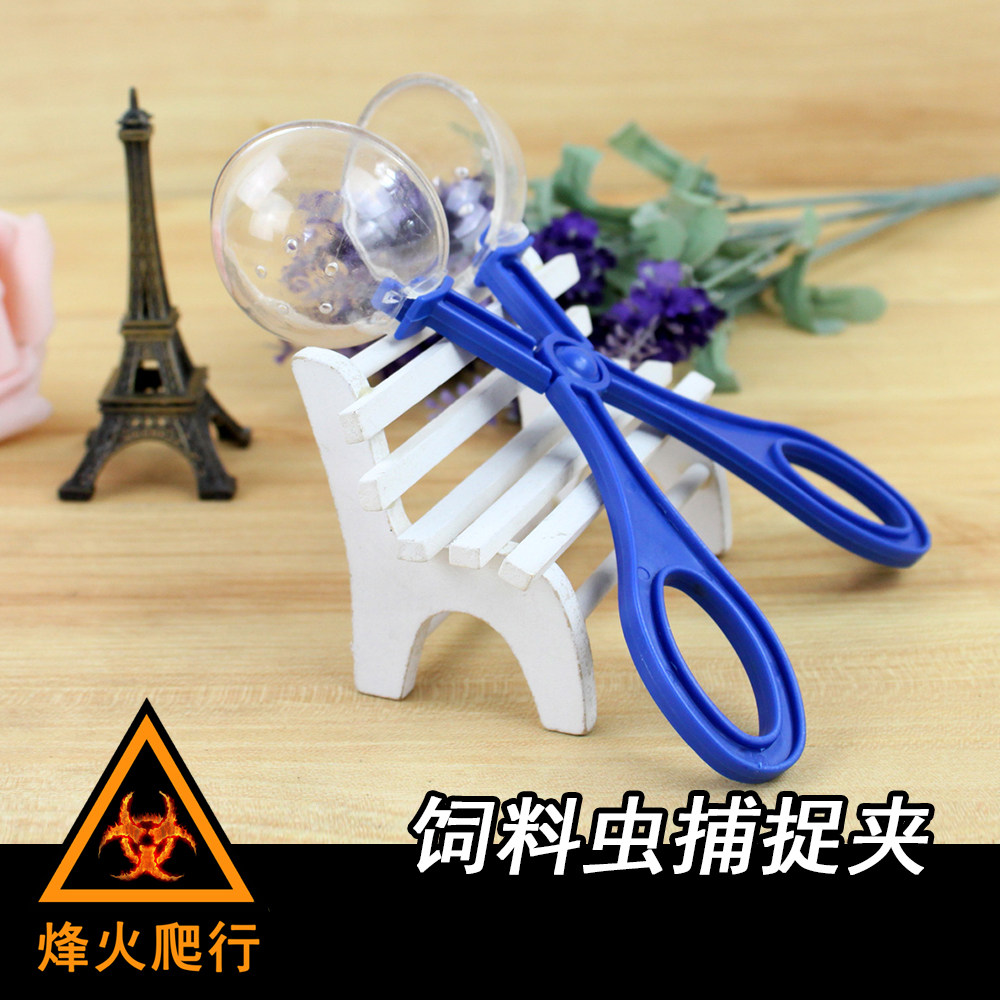 Feed worm catching clip bread worm crickets Dubia cherry cockroach Barley Worm Spider Feeding to clean up the faeces