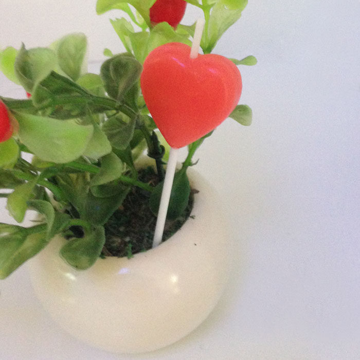 Bougie - Ref 2490381 Image 12