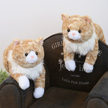 Cat ragdoll ຜົມຍາວສີສົ້ມ cat doll comfort birthday gift set simulation cat plush toy doll pillow