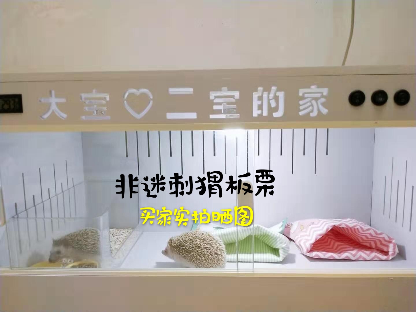 Аксессуары для рептилии pvc刺猬爬箱爬虫饲养箱 芦丁鸡蜥蜴陆龟守宫宠物加热保温箱爬宠箱