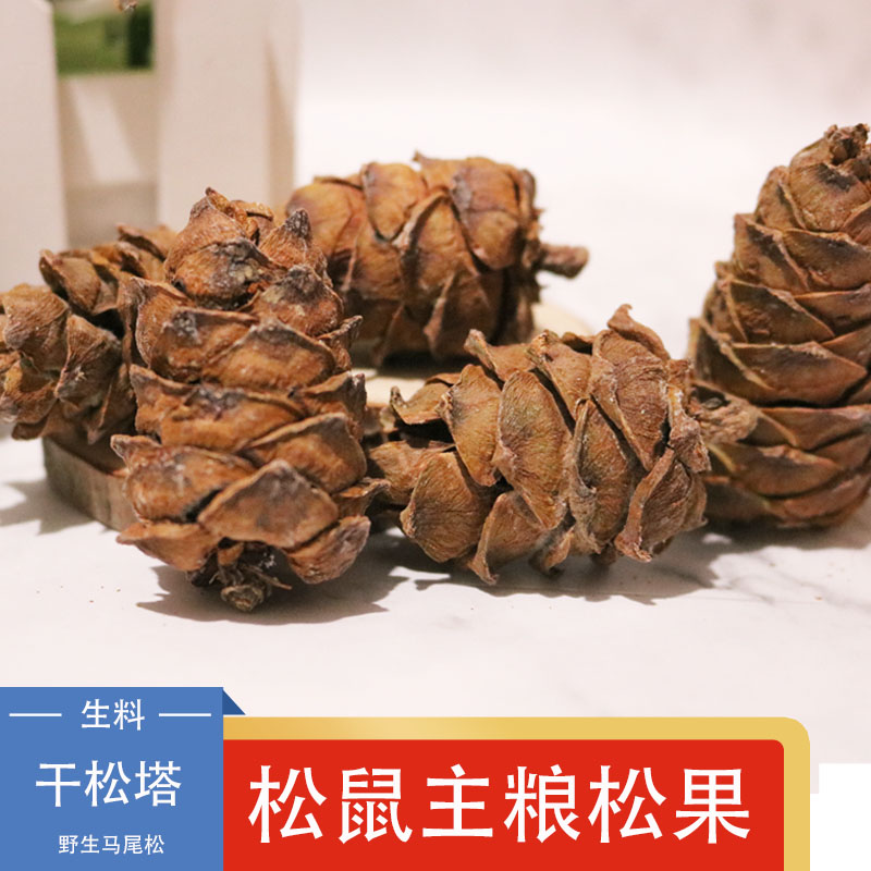 Devil King Squirrel Big Eyed Flying Squirrel Grain Wild Masson Pine Tayan Pine Pine Nut Grinding Snack Food Staple Food