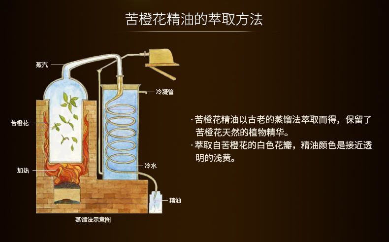 Yuncao cổ đắng cam hoa tinh dầu làm săn chắc da khử muối nếp nhăn chăm sóc sắc đẹp đơn phương hương liệu 10ml tinh dầu để xe ô tô