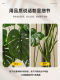 Artificial Green Plants, Large Indoor Monstera Fake Tree, High-End Luxury Office Decor, Fake Plant Floor-Standing Potted Ornament