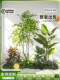 Artificial Plant Landscaping Set for Living Room Decoration, Green Plant Combination Bonsai Set, Window Display Style Home Decor, Ambiance Tree