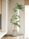 Jacaranda Artificial Green Plant Floor-Standing Potted Plant Bionic Plant Ornament Indoor Living Room Sofa Side Decorative Bonsai Fake Tree