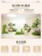 Simulated green plants and landscaping combination, courtyard window display, fake green plants, indoor under-stairs landscape, balcony landscaping