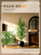 Vintage-Style Artificial Green Plant Potted Olive Tree, Large Floor-Standing Plant for Home Indoor and Outdoor Artificial Decoration