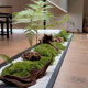 Artificial Green Plants for Desktop, Everlasting Moss Micro-Landscape, Green Plant Ornaments for Entryway, Coffee Table, Narrow Spaces, Simulated Flower Decorations