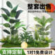 Simulated Green Plant Combinations for Landscaping, Tropical Artificial Plant Landscapes for Shopping Malls, Fake Trees under Stairs, Indoor Potted Plant Decorations