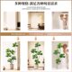 Fake Green Plants Next to the Tv Cabinet, Simulated Ficus Lyrata, Light Luxury High-End Bionic Plant Potted Plants, Large Decorative Ornaments