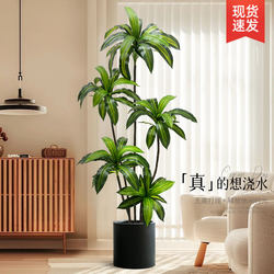 Simulated Green Plants, High-End Light Luxury Brazilian Wood Indoor Living Room Decoration, Floor-Standing Ornaments, Simulated Fake Plants, Potted Landscaping