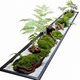 Artificial Green Plants for Desktop, Everlasting Moss Micro-Landscape, Green Plant Ornaments for Entryway, Coffee Table, Narrow Spaces, Simulated Flower Decorations