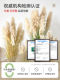 Simulated reed dried flowers, high-end light luxury living room window partition decoration, green plant landscaping combination, decorative landscape
