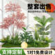 Simulated Green Plant Combinations for Landscaping, Tropical Artificial Plant Landscapes for Shopping Malls, Fake Trees under Stairs, Indoor Potted Plant Decorations